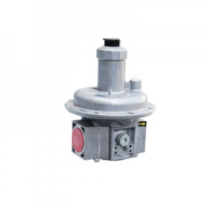 Factory directly supply Dual Fuel Burners For Boilers -
 DUNGS gas and pressure regulators Pmax 500mbar – EBURN