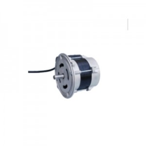OEM Customized Modulating Nozzle -
 Riello  motors – EBURN