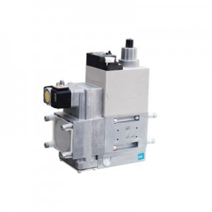 Manufactur standard Exhaust Gas Filter -
 Gas fabricate valve – EBURN